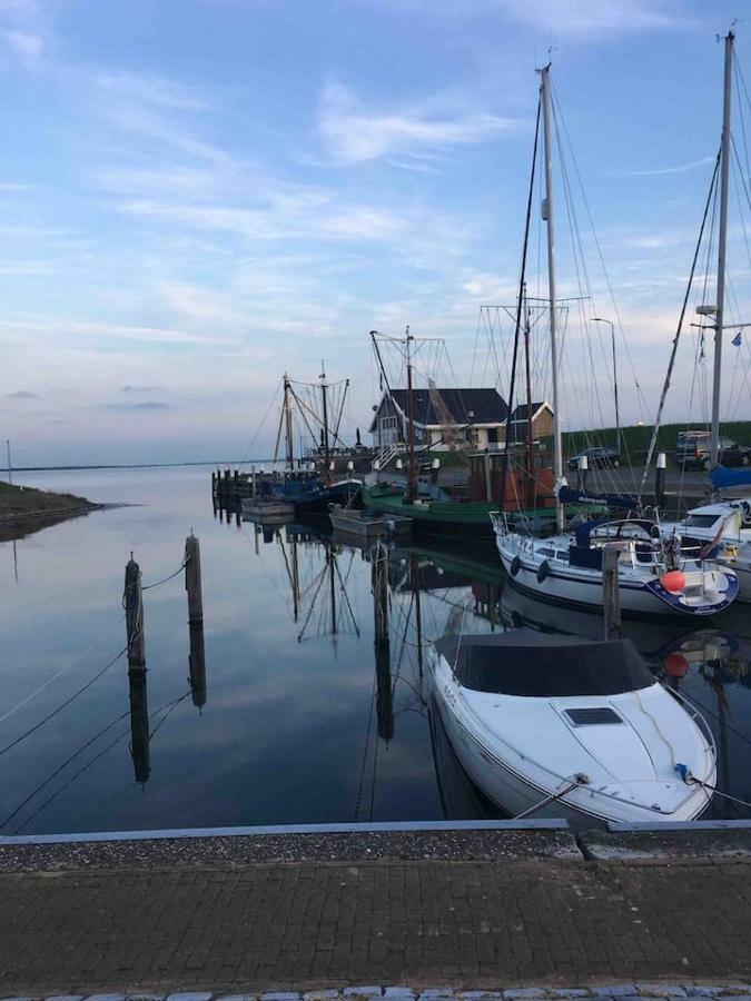 Vakantiehuisje In Ouddorp Dichtbij Het Strand 외부 사진